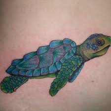 With this much detail, this is a tattoo that is meant to be seen. Best Sea Turtle Tattoo Designs Meanings Buy Lehenga Choli Online