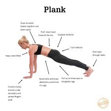 Plank Pose This Pose Is A Basic Pose Used Both In The Yoga World And In Sports World Steps For Phalakasana Pose Yoga For Beginners Yoga World Plank Pose