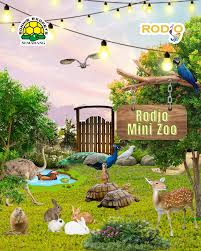 Minizoo setup
