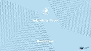 Volynets vs. Sebov Prediction at the Volvo Car Open – Monday, March 31