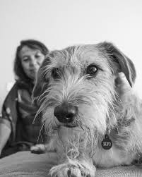 Hilda Vidal (@soy_hilda_vp) • Instagram photos and videos