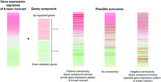 Developments In Toxicogenomics Understanding And Predicting Compound Induced Toxicity From Gene Expression Data Molecular Omics Rsc Publishing Doi 10 1039 C8mo00042e