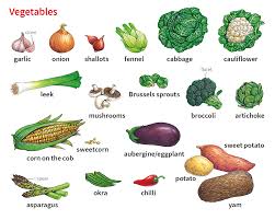 Onion Noun Definition Pictures Pronunciation And Usage Notes Oxford Advanced Learner S Dictionary At Oxfordlearnersdictionaries Com