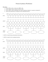 Three types of rna are required to perform cooperative functions in protein synthesis i.e, mrna carries a genetic message, trna, and rrna. Biology Protein Synthesis Worksheet Printable Worksheets And Activities For Teachers Parents Tutors And Homeschool Families