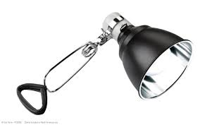 Exo Terra Light Dome Aluminum Uv Reflector Lamp