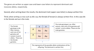 Review of genetics and punnett squares. Exercise 2 Simple Mendelian Problem Solving Chegg Com