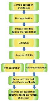 While intensity observed by a ri detector is comparable to the concentration of analyte. Lipidomics