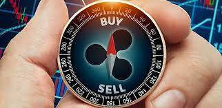 That said, i'd caution investors to invest only what they can afford to lose in xrp,. Want To Invest In Ripple Here S What You Need To Know Trading Education