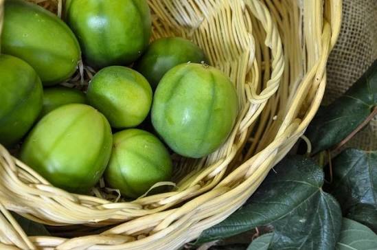 Embrapa realiza Dia de Campo sobre maracujá BRS Pérola do Cerrado - Revista Cultivar