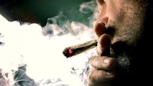 He declared the bill 'discriminatory' and said it was drafted by ngos and will. Pakistanis Are Cracking Up Over The Senate Committee Banning Smoking Hashish In Parliament Lodges