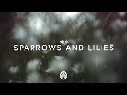 Pat Barrett Sparrows And Lilies Lyrics Youtube Spiritual Songs Lyrics Christian Music Videos