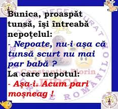 Pin By Grigore Harpena On Glume Si Citate Hazlii Romanești Funny Words Really Funny Funny