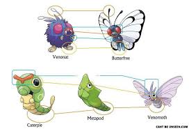 46 Skillful Caterpie Evolution Chart