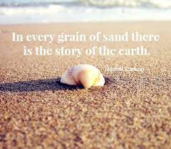 We did not find results for: See A World In A Grain Of Beach Sand With Microphotography Beach Bliss Living Grain Of Sand Beach Sand Sand Quotes