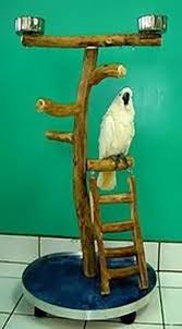 Bird Play Stand Parrot Play Stand Dragonwood Ladder Large Bird Parrot Play Stand Parrot Toys Parrot Perch