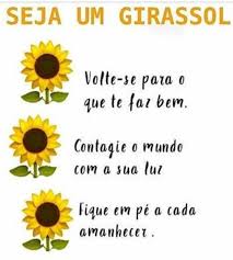 Bom Dia Frases Inspiracionais Mensagens Citacoes De Girassol Os demais nutrientes estão em uma tabela mais detalhada, ao final do artigo. mensagens citacoes de girassol