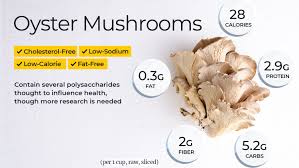 Check spelling or type a new query. Oyster Mushroom Nutrition Facts And Health Benefits
