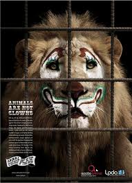 Ldpa Animals Are Not Clowns Creative Criminals Circus Animals Save Animals Animals