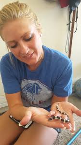 Who to call to remove a snake?