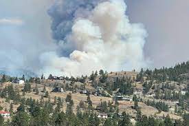 Find okanagan falls real estate listings and browse homes for sale at royal lepage, canada's royal lepage has complete real estate listings for okanagan falls. Kzqn8epw 36p5m