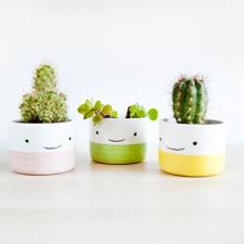 Smiling Faces Mini Pots From Apollo Box Diy Flower Pots Flower Pots Plants