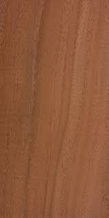 Image result for Schinopsis