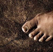 Maybe you would like to learn more about one of these? Dear Willow Should I Set My Feet Free And Go Barefoot Breaking Muscle