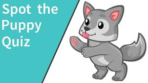 Spot The Puppy Quiz Answers 100 Quiz Diva Rocash Com In 2020 Quiz Puppies Answers