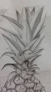 Jadi, kita tinggal mengurangi luas persegi dengan luas daerah yang tak diarsir (sebelumnya telah dicari). Menggambar Buah Nanas Crazy Young Artist