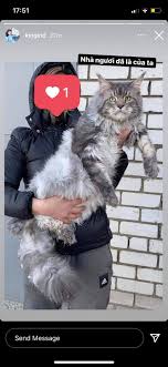 Sở hữu khối tài sản lớn, cũng dễ hiểu vì sao linh ngọc đàm lại chuộng hàng hiệu đến thế. Mua Nhanh Ban Gá»n NhÆ° Linh Ngá»c Ä'am Thich La Chuyá»ƒn Khoáº£n Ngay 100 Triá»‡u Ä'á»ƒ Sá»Ÿ Há»¯u Chu Meo Hiáº¿m