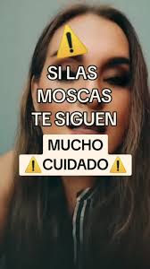 Consejos sobre Moscas y sus Comportamientos