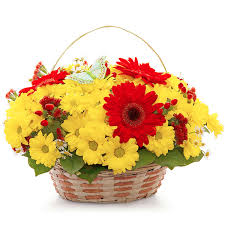 Nov 02, 2017 · se siete degli amanti del giardinaggio e amate i fiori vi sarete senza dubbio ritrovati a dover curare delle margherite. Composizioni Con Gerbere By Italiainfiore It