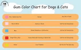 Therefore, gastrointestinal signs are the major signs of anaphylactic shock rather than respiratory signs. Hi Everyone Many Of You Miss Drew S Doggy Daycare Facebook