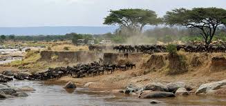 When we talk about beauty, we are referring however as much as this cuts across the whole of africa, there are still some specific african countries whose women stand out as the most beautiful. The Beauty Of Africa 7 Wild Wonders Ready For Adventures