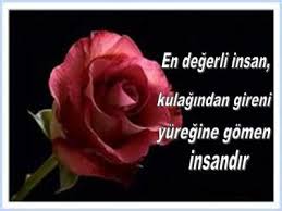 Anlamli Yazili Resimler Resimli Yazilar Kuaza Rose Flowers Poems