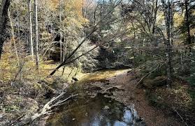 Braziel Creek Trail, Alabama