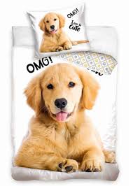 Image result for zlatý retrívr