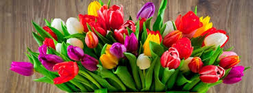 Best farmers' markets around paramus, nj. Hillcrest Garden Inc Home Facebook