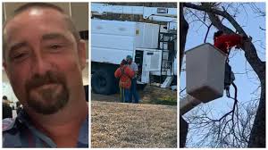 Central Texas business rescues cat stuck up in a tree for 24 hours