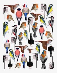 Life As Illustrated Bird Illustration Bird Art Bird Drawings