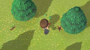 On this faq page of our guide to animal crossing new horizons you will find out where to look for fossils. List Of All Fossils In Animal Crossing New Horizons Allgamers