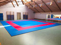Sanhong biedt karate matten, concurrerende in topkwaliteit en goedkope prijs. Berichte Sfl Bremerhaven E V