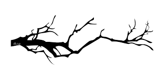 Bird On Tree Branch Png Tree Branch Silhouette It S Fall And That Means Branch Fall Means Silhouette Tree In 2020 Tree Branch Tattoo Tree Silhouette Tree Branch Art