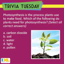 For many people, math is probably their least favorite subject in school. Plant Yourself Down And Answer This Triviatuesday Question Answer Here Https Www Facebook Com Ixl Photos A Trivia Tuesday Trivia Questions Photosynthesis