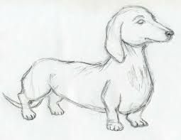 Disegni belli ma facili come disegnare un uccello colorato passaggi tutorial disegni facili disegno di fiori disegni di uccelli. Pin Su Fai Da Te