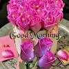 Good morning messages for friends: Https Encrypted Tbn0 Gstatic Com Images Q Tbn And9gcs Scc3evcypdqnn5 Cbsn2gf8p87zmryokycnvsxur2atycycm Usqp Cau