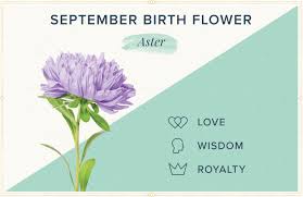 Check spelling or type a new query. Birthday Flowers The Complete Guide Of Birth Month Flowers