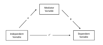 Both mediation and moderation assume that there is little to no measurement error in the mediator/moderator variable and that the dv did not cause the mediator/moderator. Mediation Statistics Wikipedia