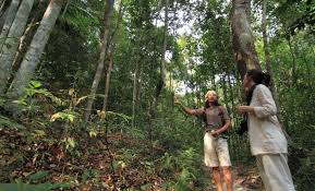 Penang national park was previously popular as the pantai cheh forest reserve. Mypenang