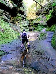 Rocky hollow falls canyon nature preserve. Turkey Run State Park Hiking Trails Turkey Run State Park